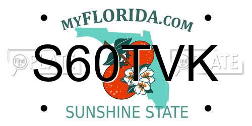 S60TVK Florida License Plate