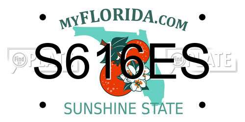 S616ES Florida License Plate