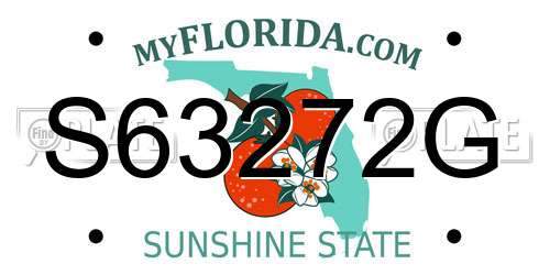 S63272G Florida License Plate