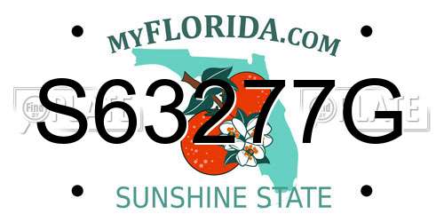 S63277G Florida License Plate