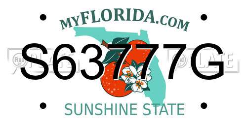 S63777G Florida License Plate