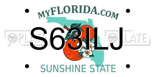S63ILJ Florida License Plate