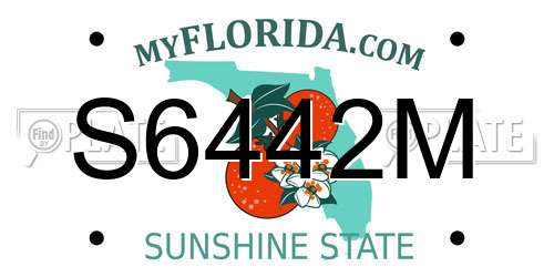 S6442M Florida License Plate