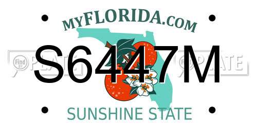 S6447M Florida License Plate