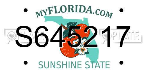 S645217 Florida License Plate