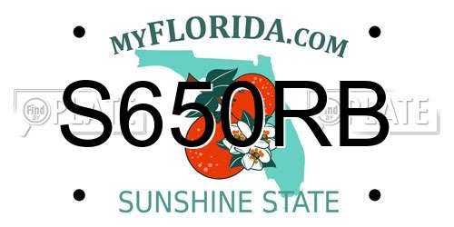 S650RB Florida License Plate