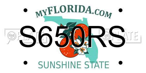 S650RS Florida License Plate