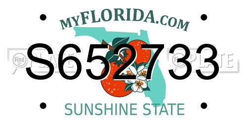 S652733 Florida License Plate