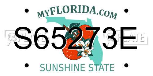 S65273E Florida License Plate