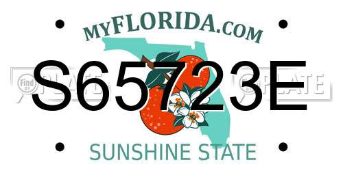 S65723E Florida License Plate