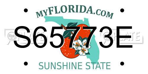 S65773E Florida License Plate