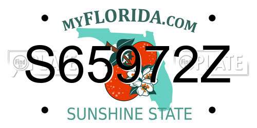 S65972Z Florida License Plate