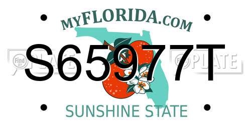 S65977T Florida License Plate