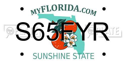 S65FYR Florida License Plate
