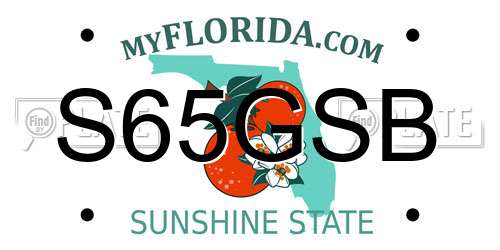 S65GSB Florida License Plate