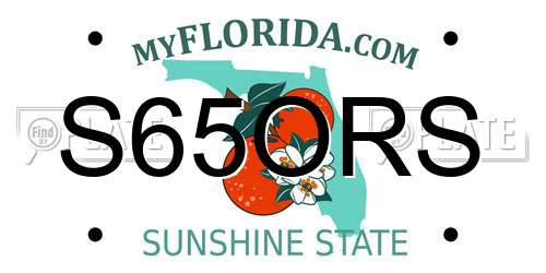 S65ORS Florida License Plate