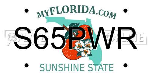 S65PWR Florida License Plate