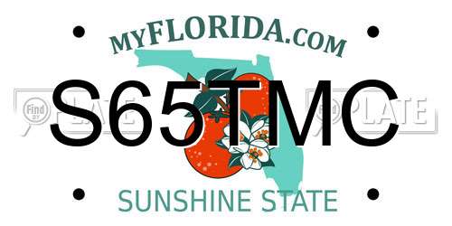 S65TMC Florida License Plate