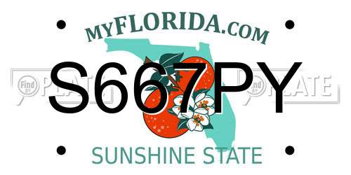 S667PY Florida License Plate