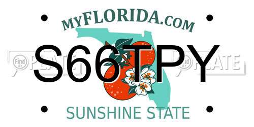 S66TPY Florida License Plate