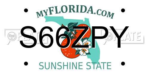 S66ZPY Florida License Plate