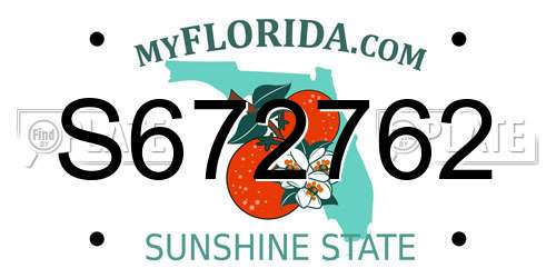 S672762 Florida License Plate