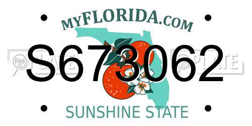 S673062 Florida License Plate
