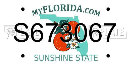 S673067 Florida License Plate