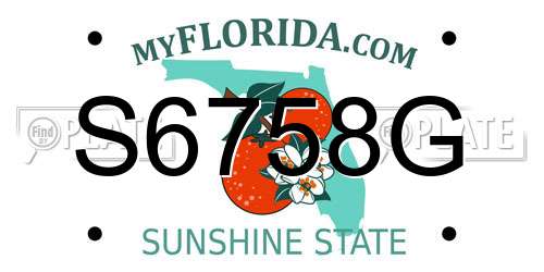 S6758G Florida License Plate