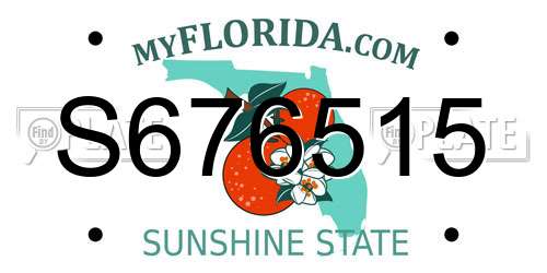 S676515 Florida License Plate