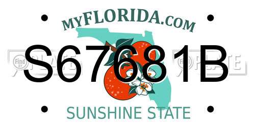 S67681B Florida License Plate