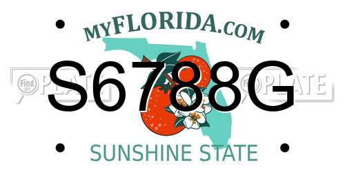 S6788G Florida License Plate
