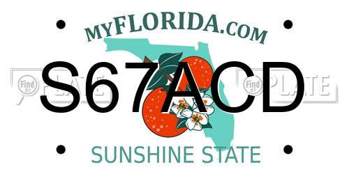 S67ACD Florida License Plate