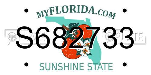 S682733 Florida License Plate