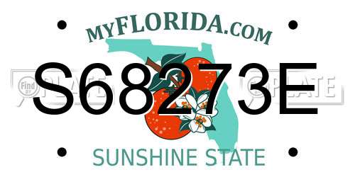 S68273E Florida License Plate