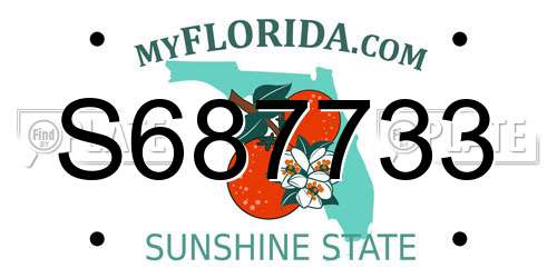 S687733 Florida License Plate