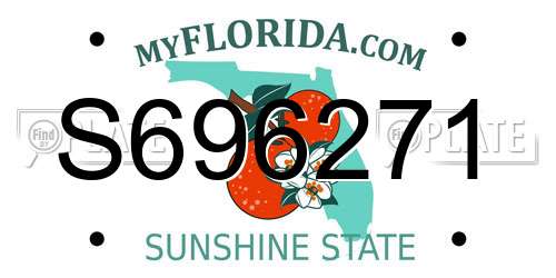 S696271 Florida License Plate