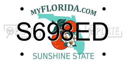 S698ED Florida License Plate
