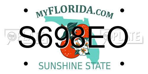 S698EO Florida License Plate