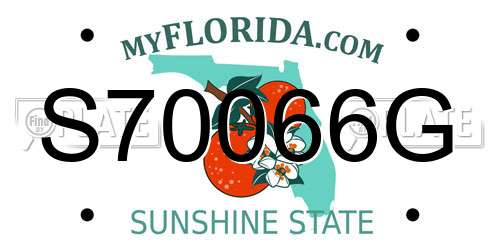 S70066G Florida License Plate