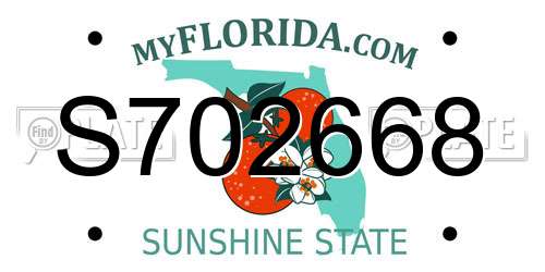 S702668 Florida License Plate