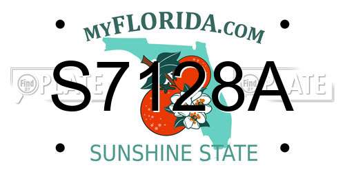 S7128A Florida License Plate