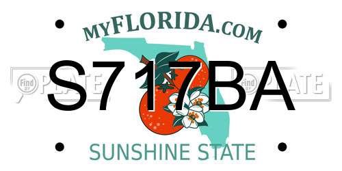 S717BA Florida License Plate