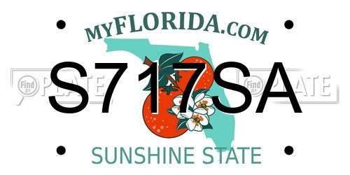 S717SA Florida License Plate