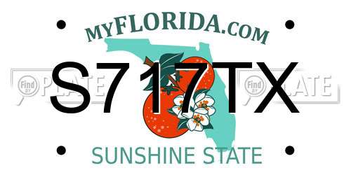 S717TX Florida License Plate