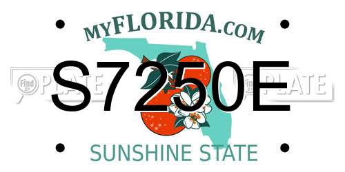 S7250E Florida License Plate