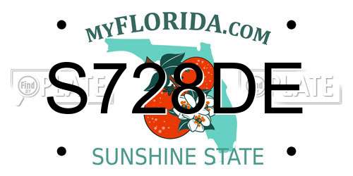 S728DE Florida License Plate