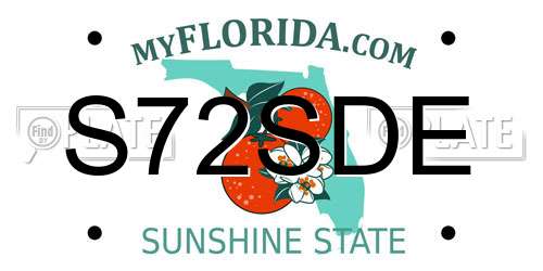 S72SDE Florida License Plate