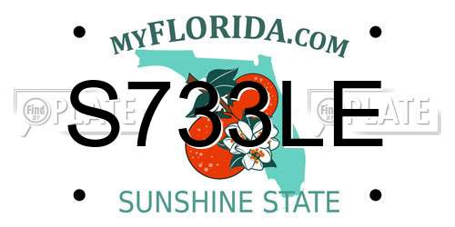 S733LE Florida License Plate
