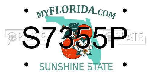 S7355P Florida License Plate